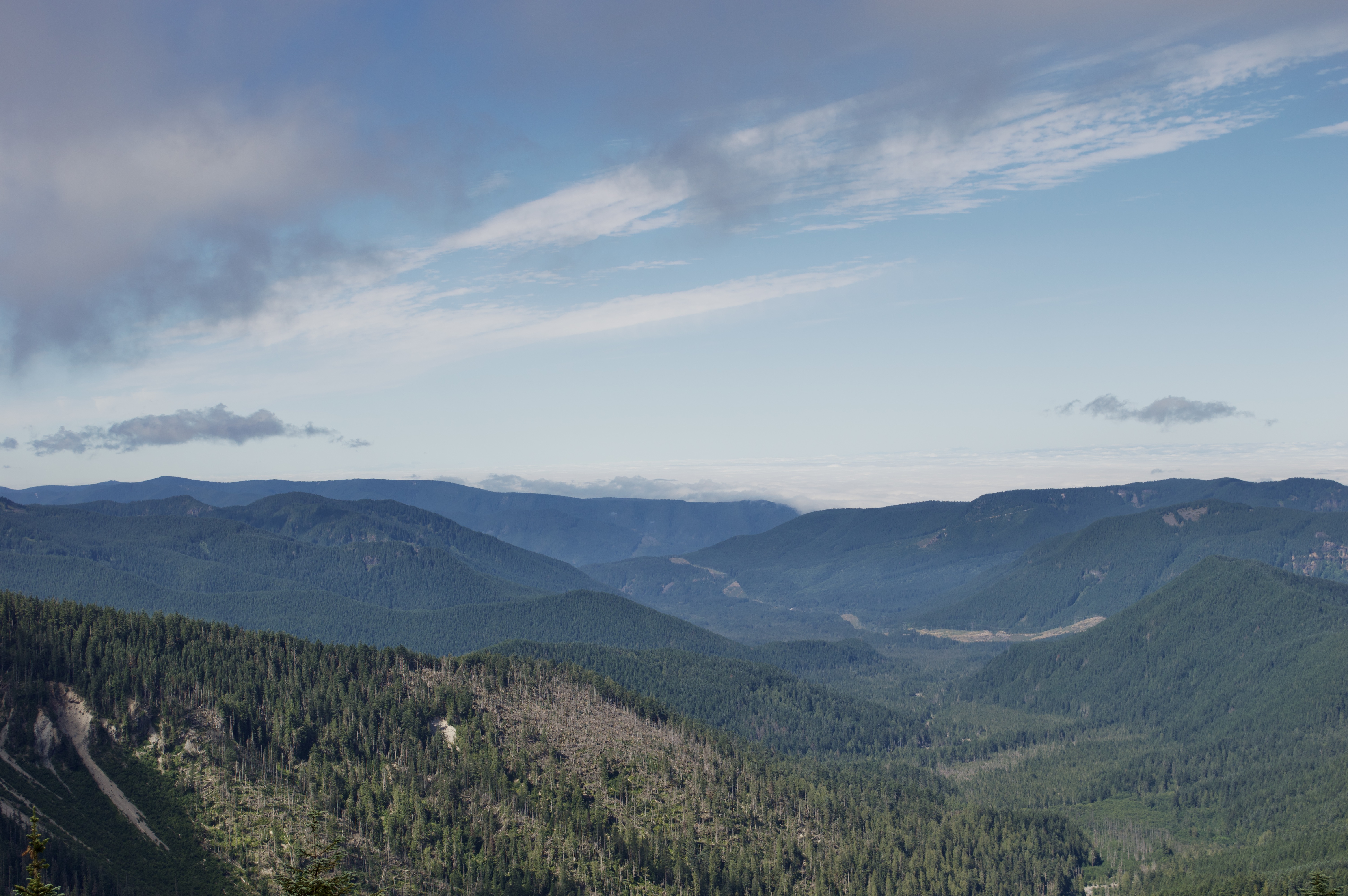 A view of the landscape that sits behind you along the McNeil Point Scramble Trail.